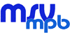 Logo MSV-Verlag
